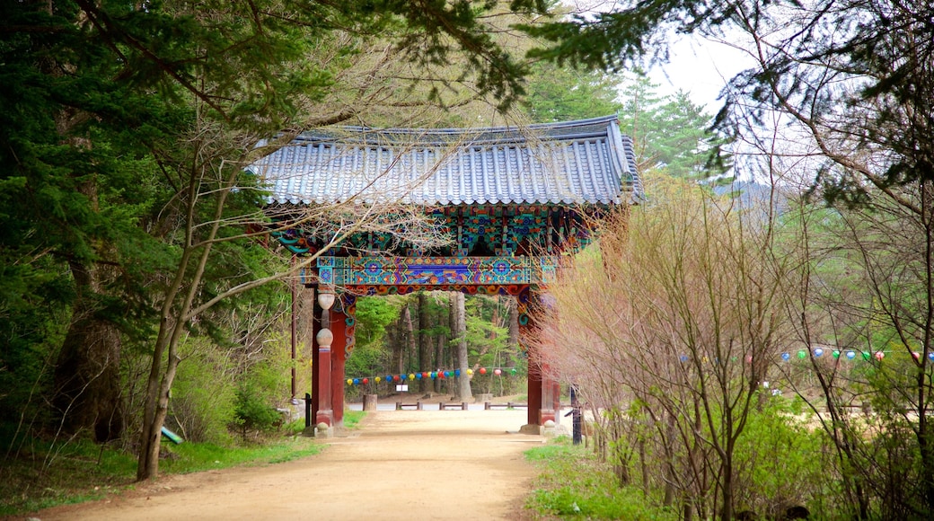 Woljeongsa Temple showing forests and heritage elements