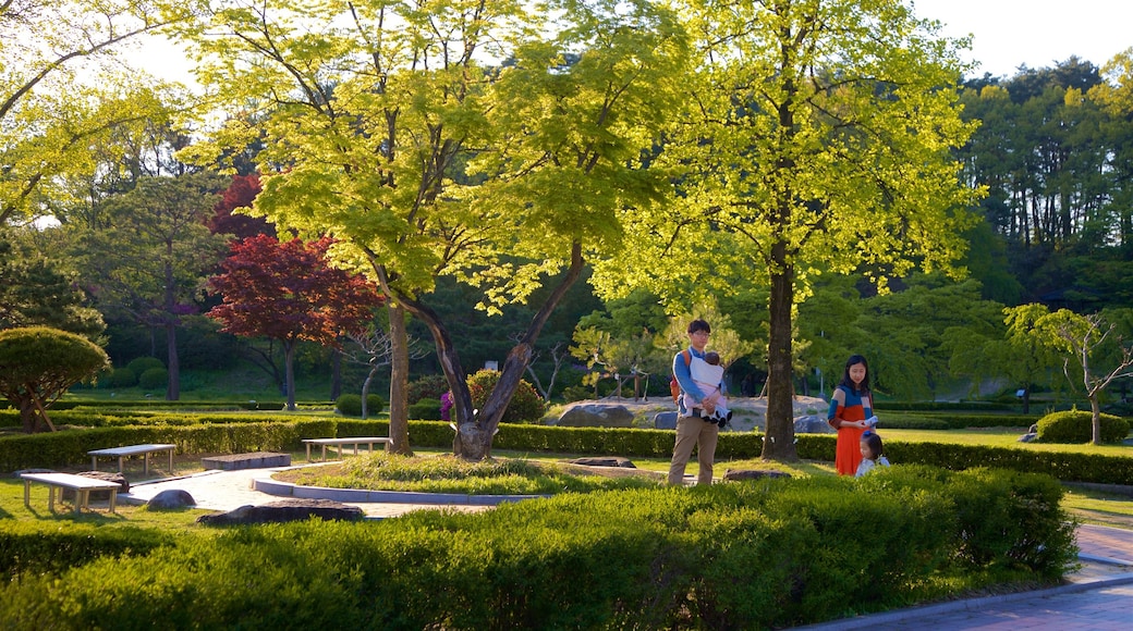 Ojukheon Municipal Museum showing a sunset and a park as well as a family