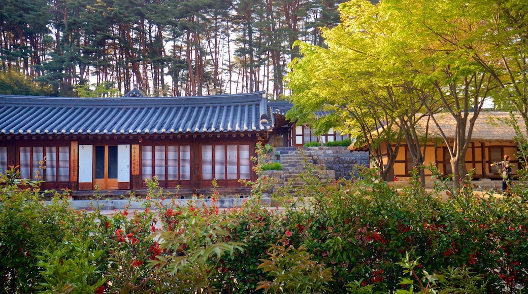 Maison Gangneung Seongyojang montrant fleurs sauvages et patrimoine historique