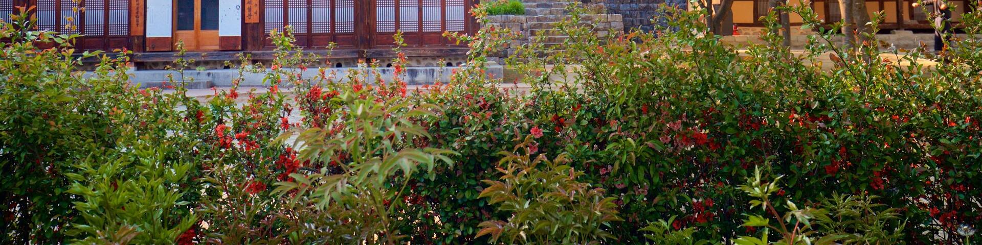 Gangneung Seongyojang House showing heritage elements and wildflowers