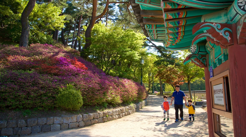 Gyeongpodae featuring heritage elements and wildflowers as well as a family