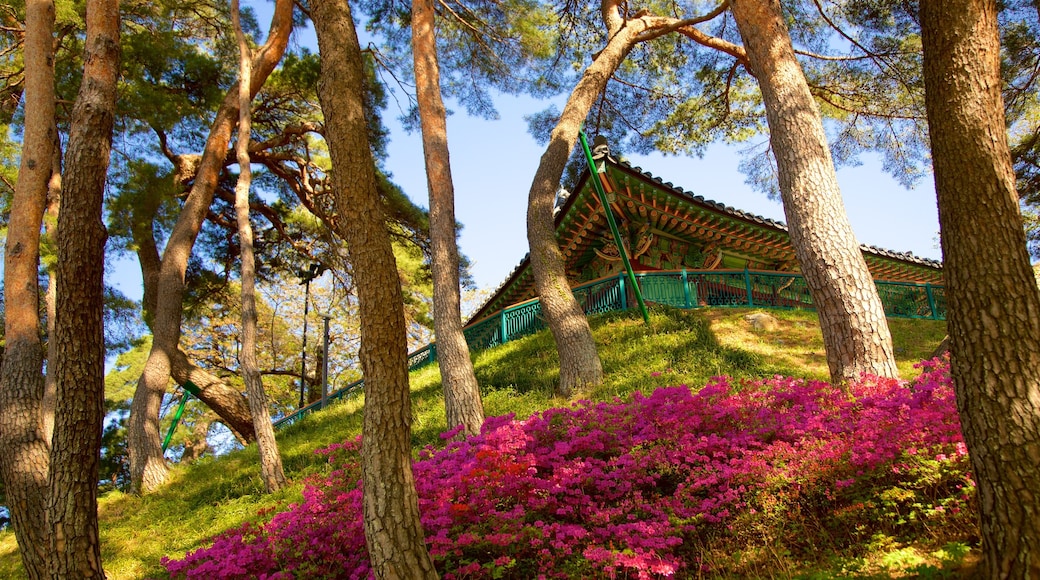 Gyeongpodae caracterizando flores silvestres e elementos de patrimônio