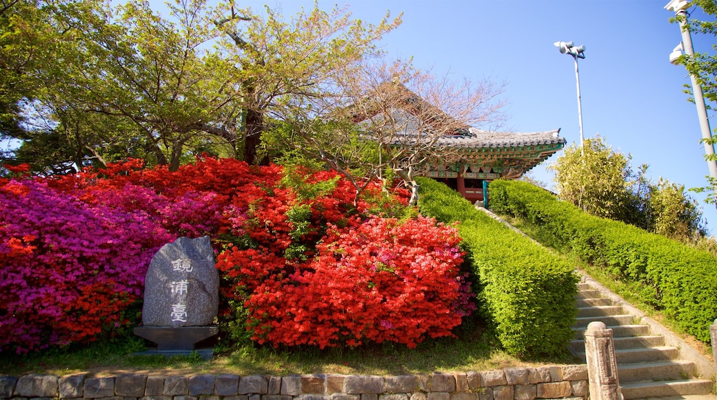 Gyeongpodae showing a park, wildflowers and heritage elements