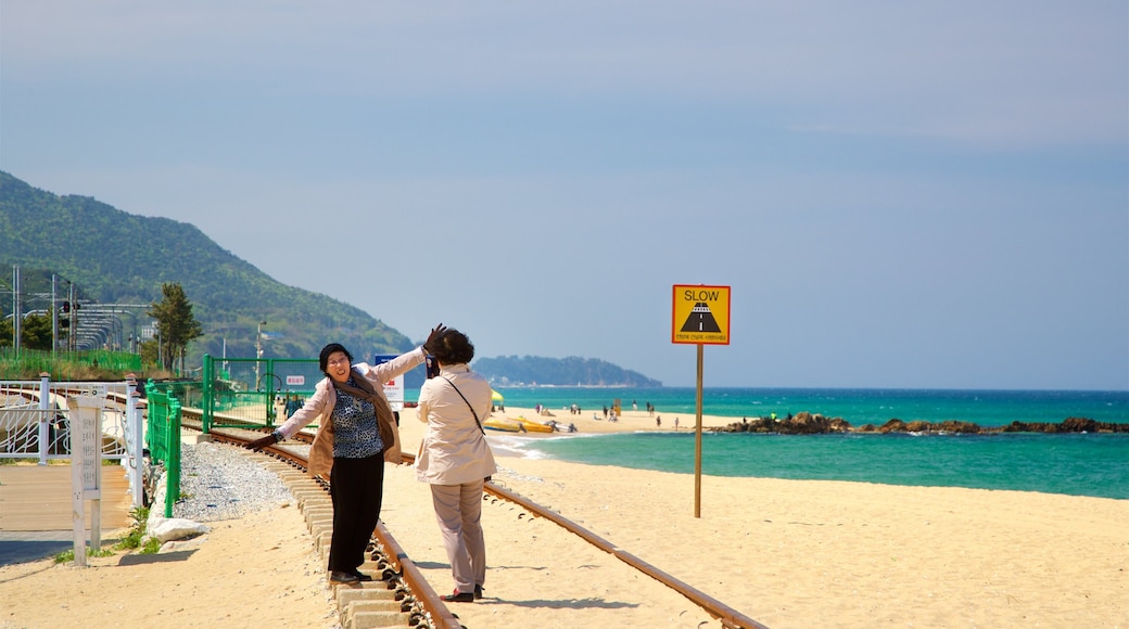 Jeongdongjin Beach which includes general coastal views and a beach as well as a couple