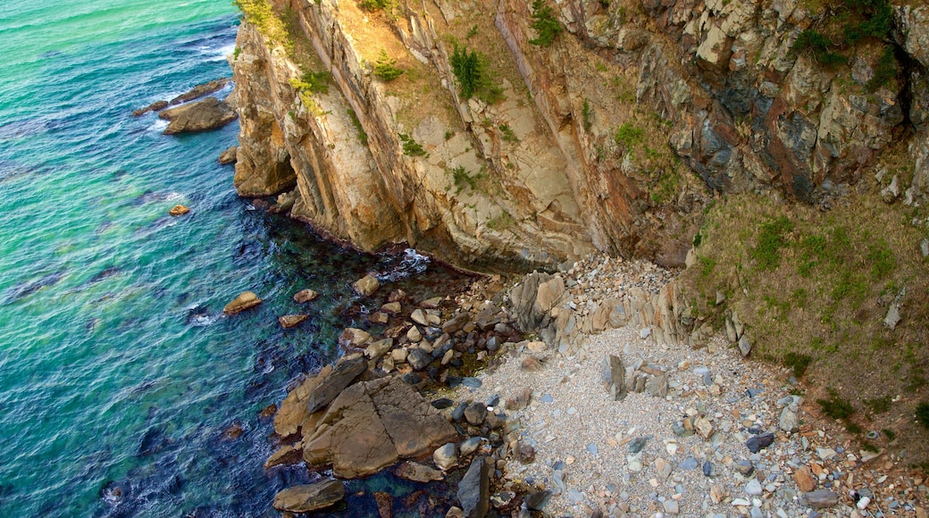 Gangneung which includes general coastal views and rocky coastline