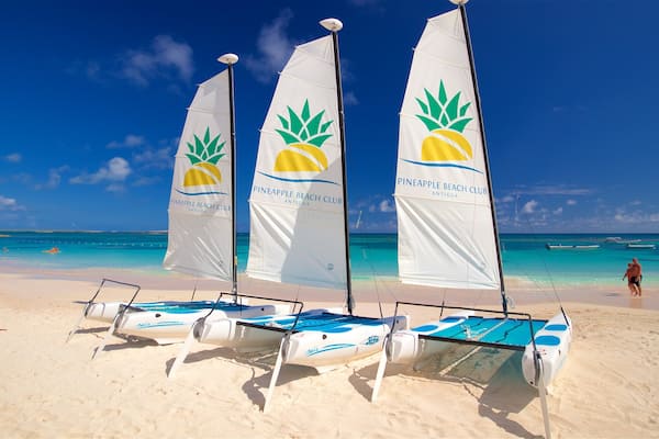 Antigua featuring general coastal views, signage and a beach