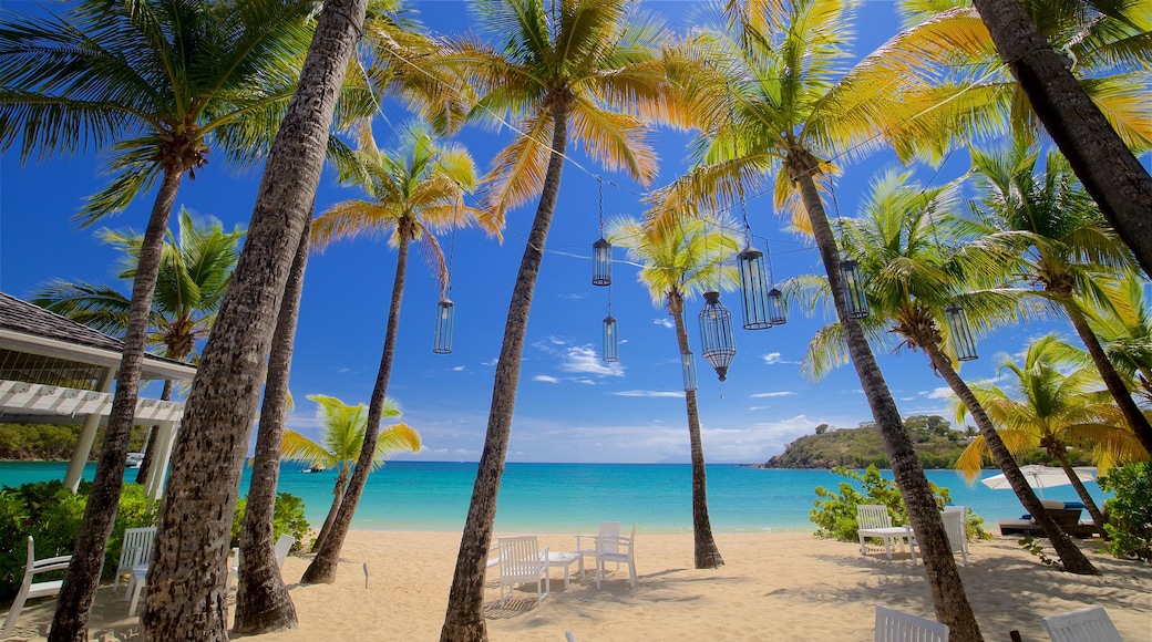 Antigua que incluye vistas de una costa, escenas tropicales y una playa