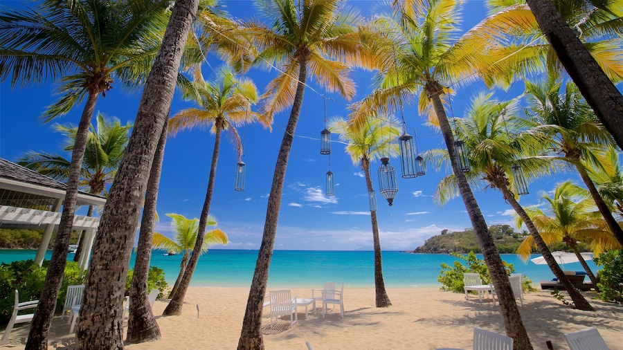 Antigua featuring a beach, tropical scenes and general coastal views