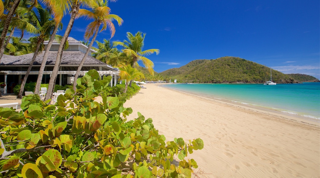 Antigua som inkluderar kustutsikter, tropisk natur och en strand