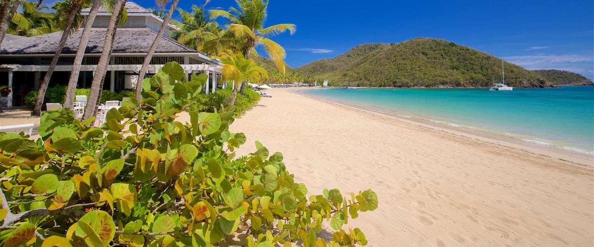 Antigua ofreciendo vistas generales de la costa, una playa y escenas tropicales