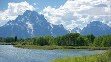 Oxbow Bend showing mountains and a river or creek