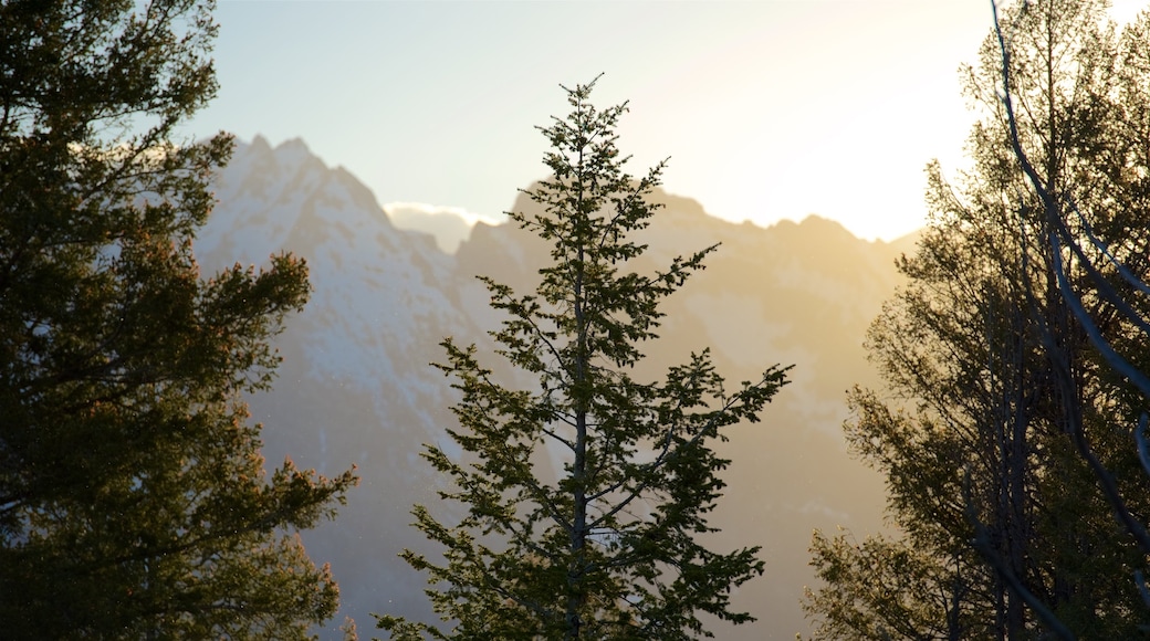 Moran showing forest scenes, mountains and a sunset