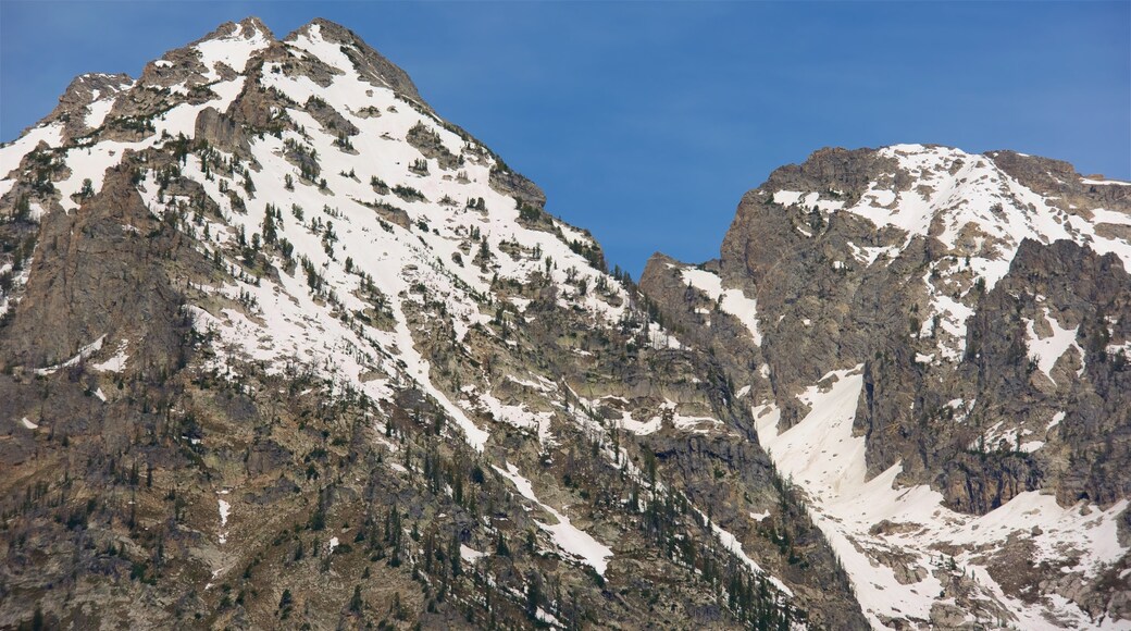 Cascade Canyon showing mountains and snow