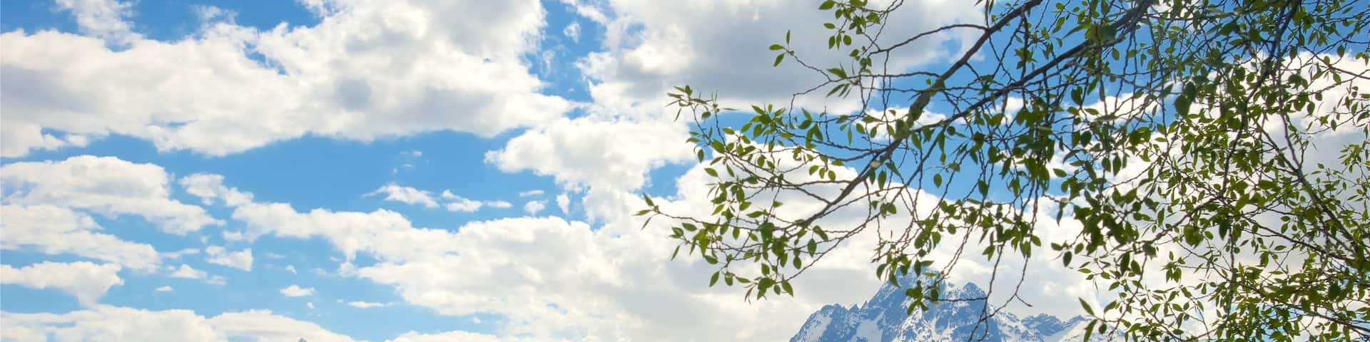 Colter Bay Visitor Center showing mountains, a river or creek and a bay or harbor