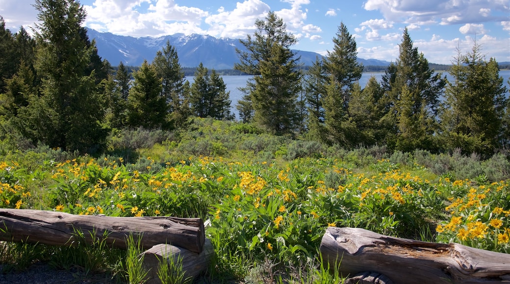 Chapel of the Sacred Heart featuring wildflowers and a lake or waterhole