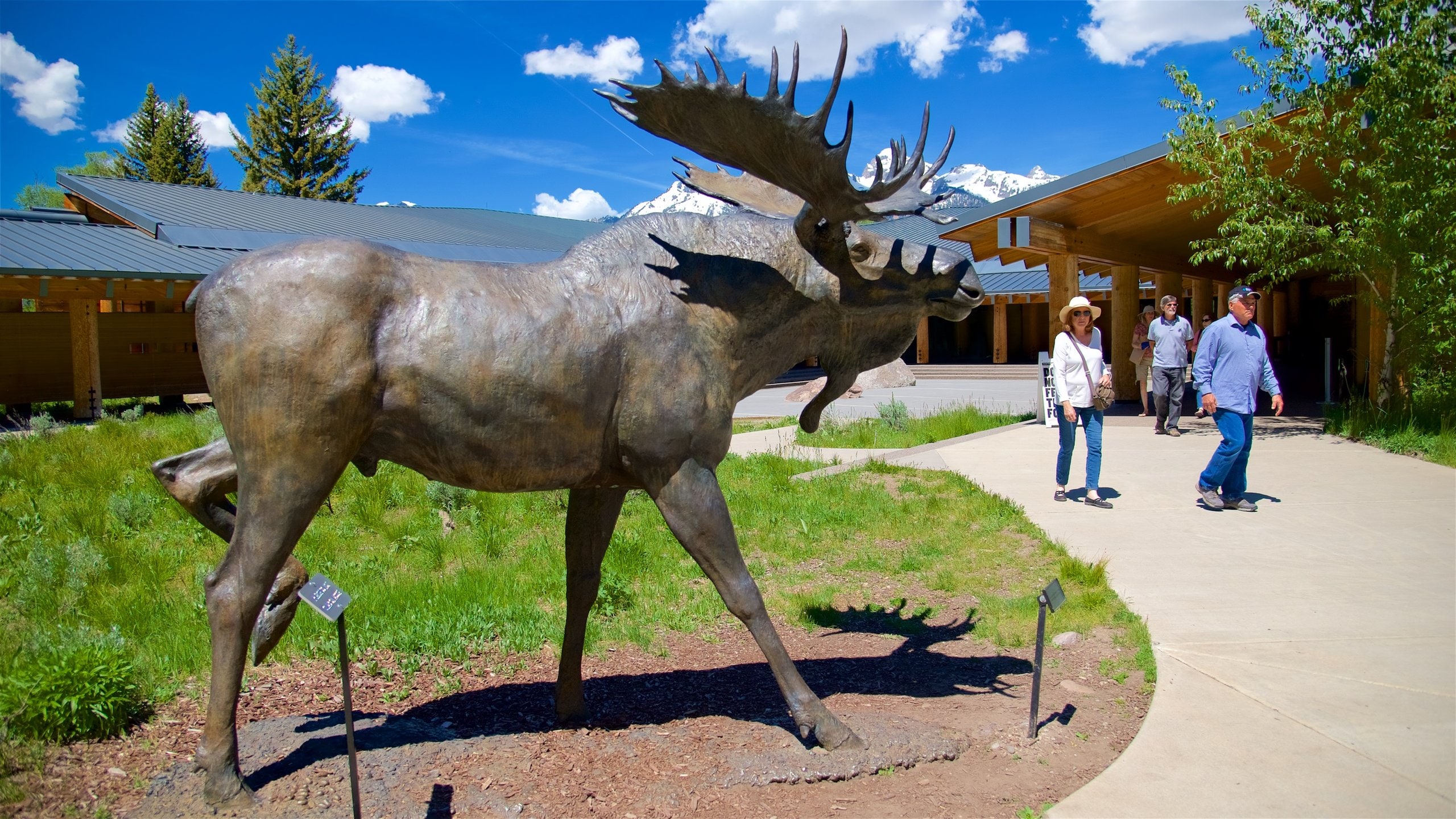 ジェニー レイク ビジター センター ムース旅行 エクスペディア