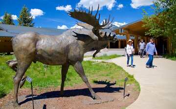 ジェニー レイク ビジター センター ムース旅行 エクスペディア ジェニー レイク ビジター センター ムース旅行 エクスペディア