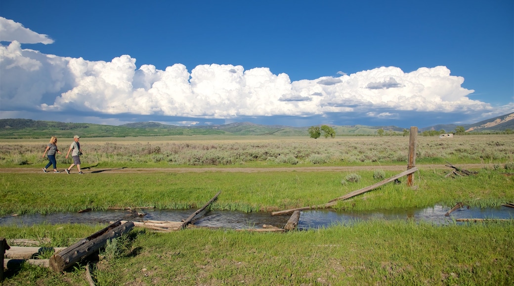 Mormon Row Historic District inclusief een rivier of beek, vredige uitzichten en landschappen