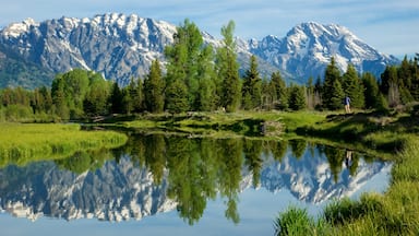 Schwabacher\'s Landing showing a river or creek, mountains and tranquil scenes