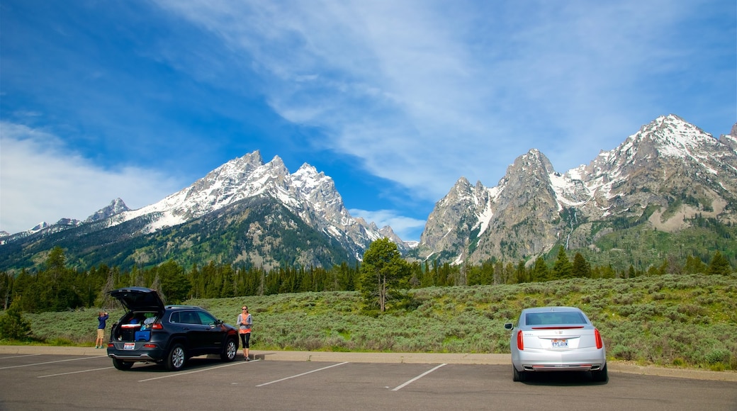 Cascade Canyon showing tranquil scenes and mountains