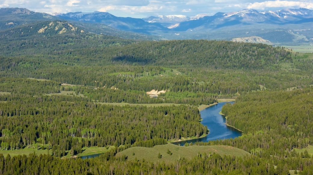 Grand Teton National Park caracterizando cenas tranquilas, um rio ou córrego e cenas de floresta