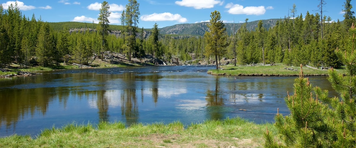 Yellowstone National Park featuring a river or creek and forest scenes