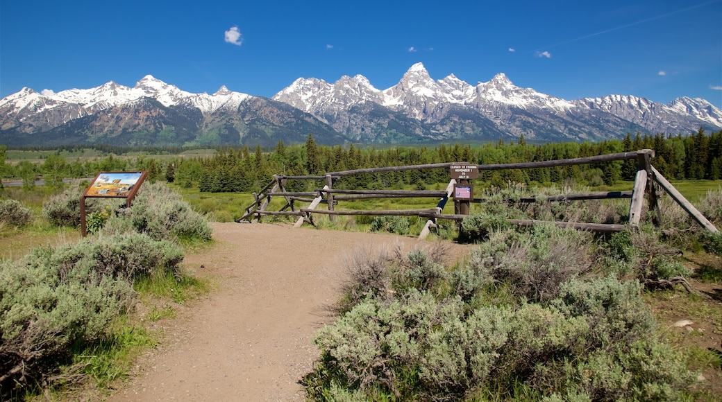 Grand Teton National Park showing signage, mountains and tranquil scenes