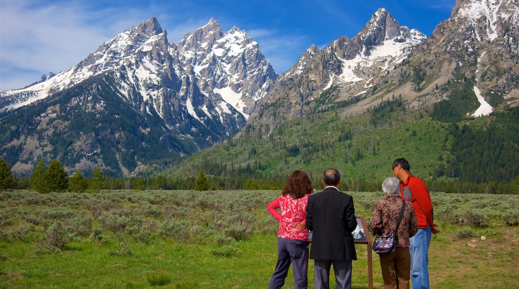 Parque Nacional Grand Teton que incluye montañas y situaciones tranquilas y también un grupo pequeño de personas