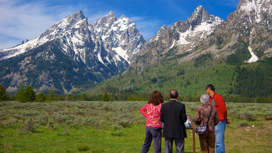 Parque Nacional Grand Teton que incluye montañas y situaciones tranquilas y también un grupo pequeño de personas