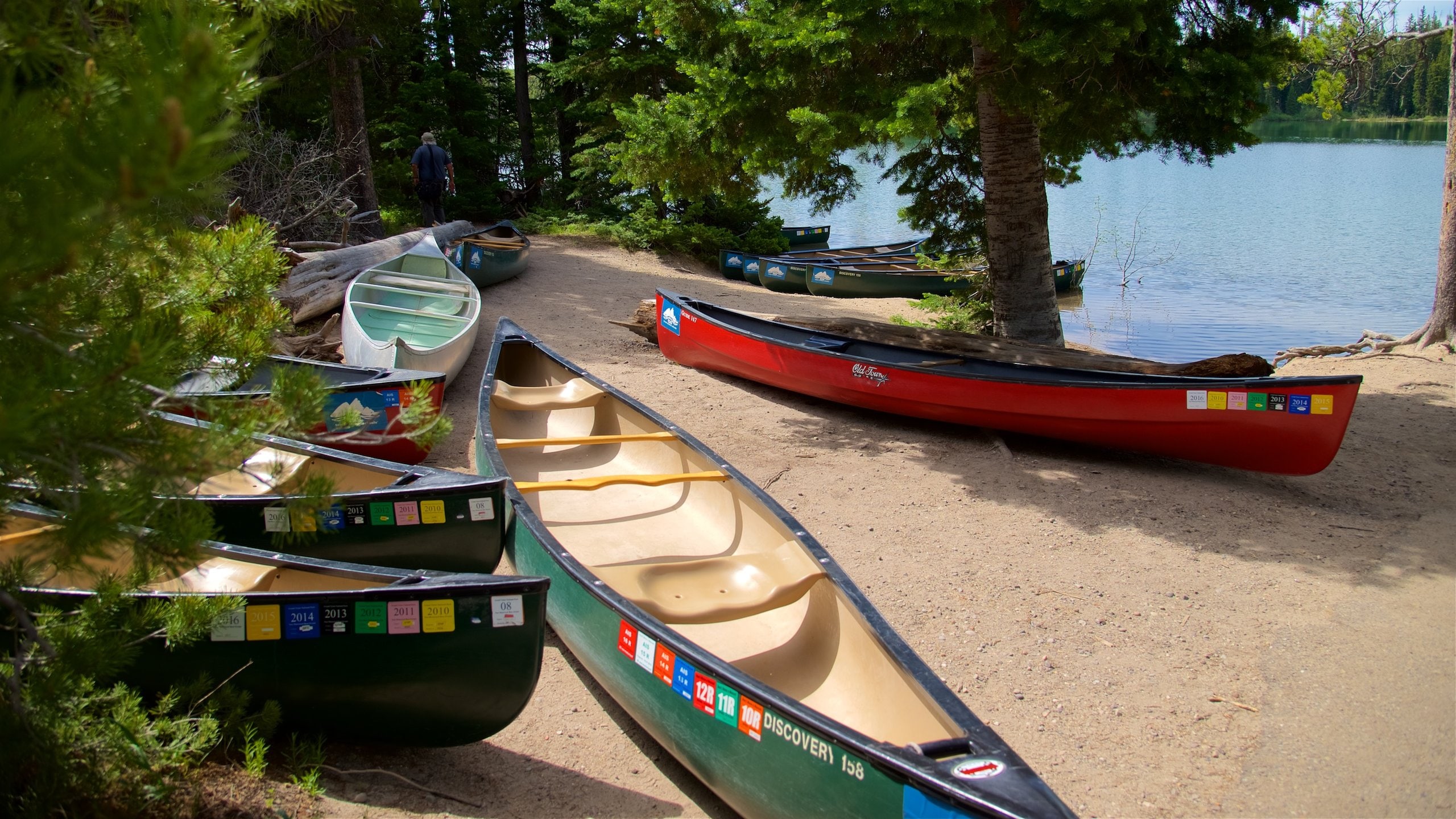 Grand Teton National Park which includes a lake or waterhole