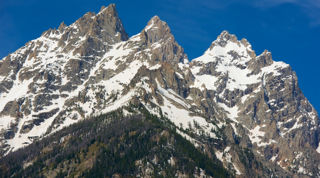 Cascade Canyon som omfatter sne og bjerge