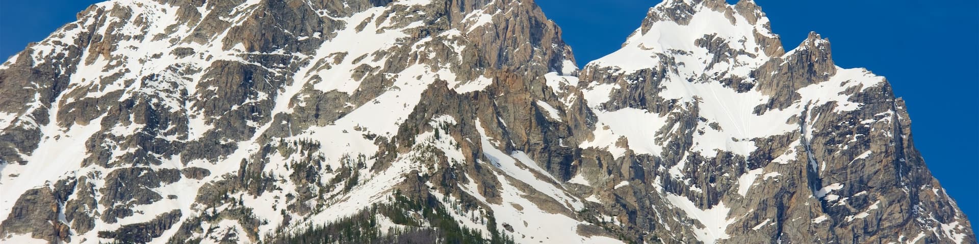 Cascade Canyon showing mountains and snow