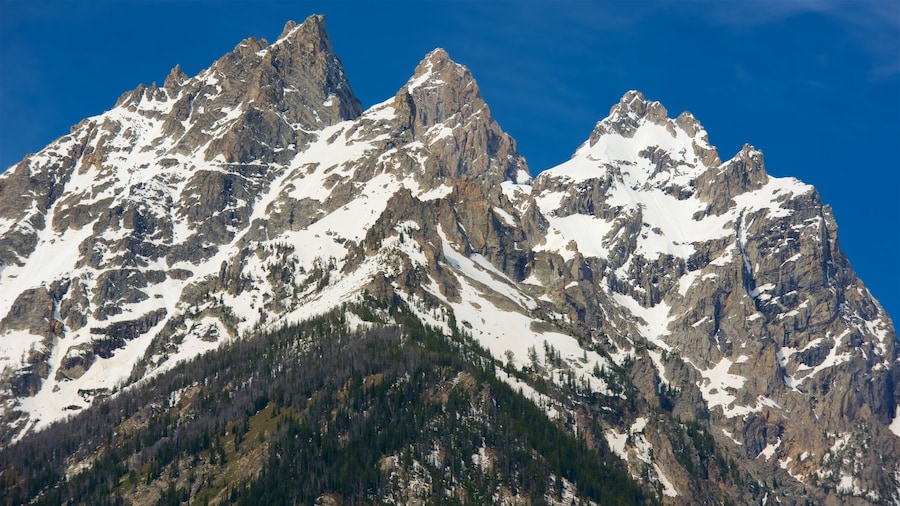 Cascade Canyon