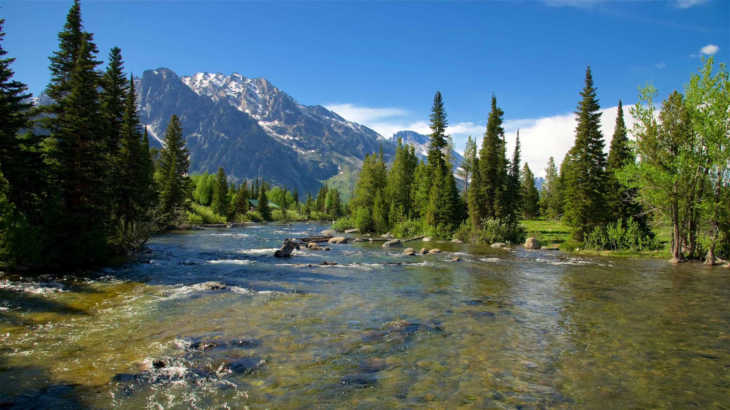 Jenny Lake which includes a river or creek, rapids and mountains
