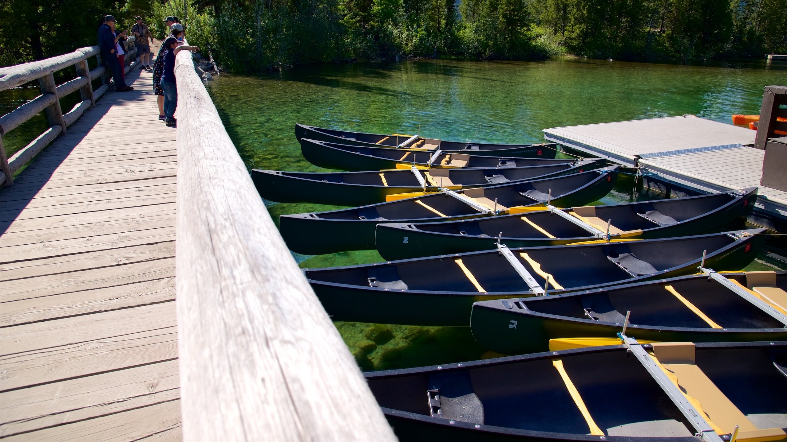 Jenny Lake featuring a bridge and a river or creek as well as a small group of people