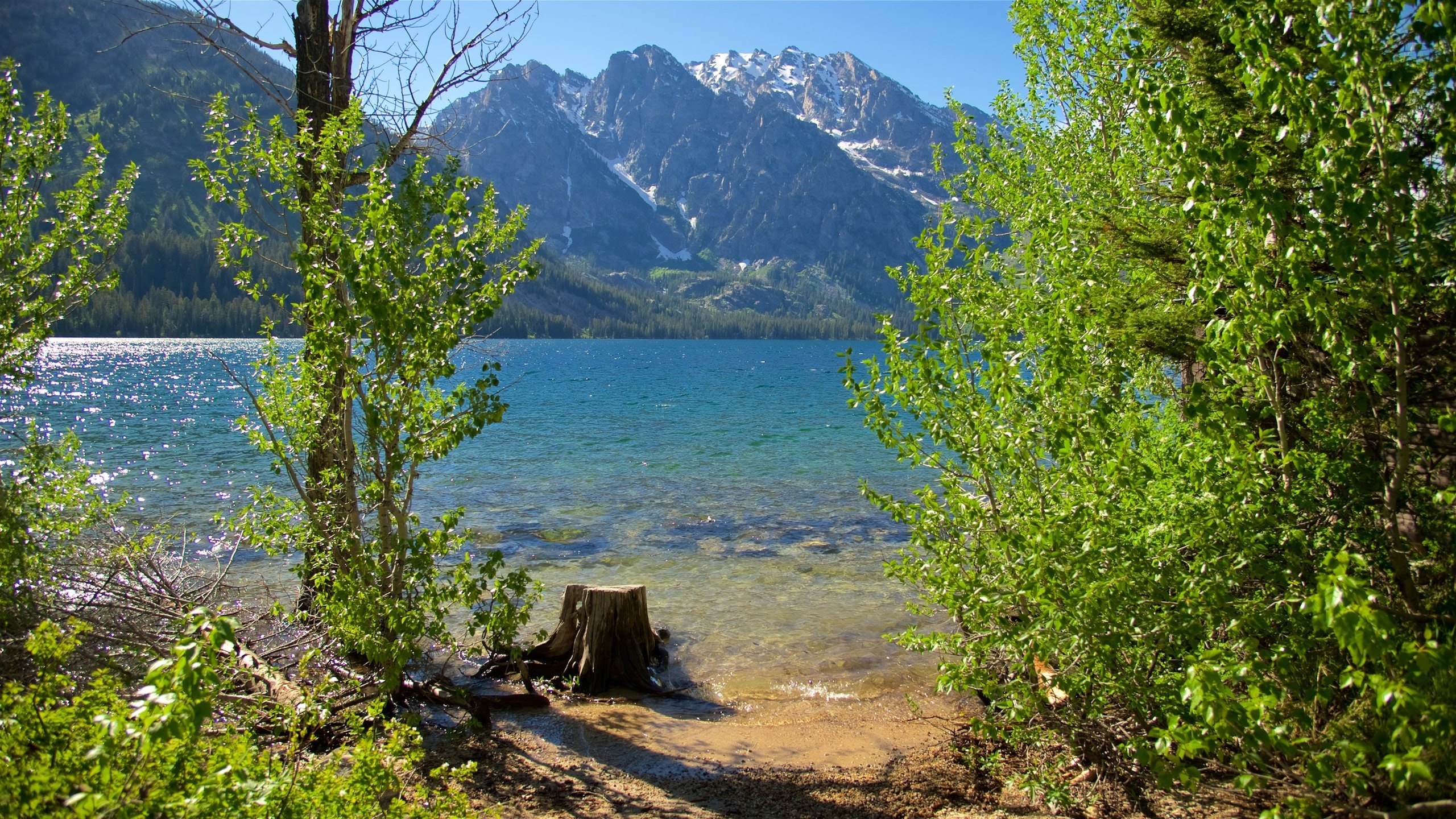 Jenny Lake, US Vacation Rentals cabin rentals & more Vrbo