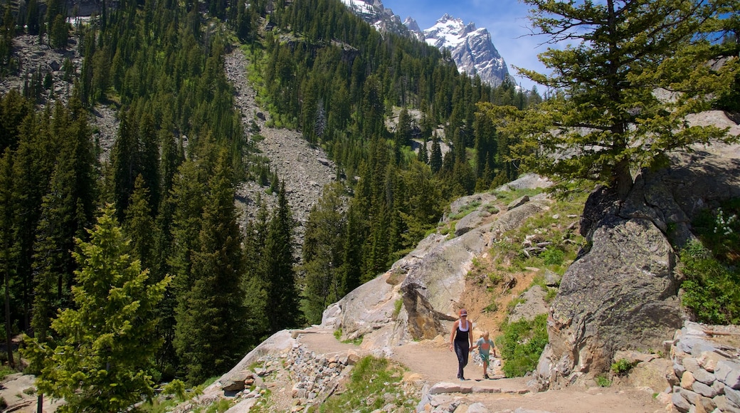 Jenny Lake which includes mountains, hiking or walking and tranquil scenes