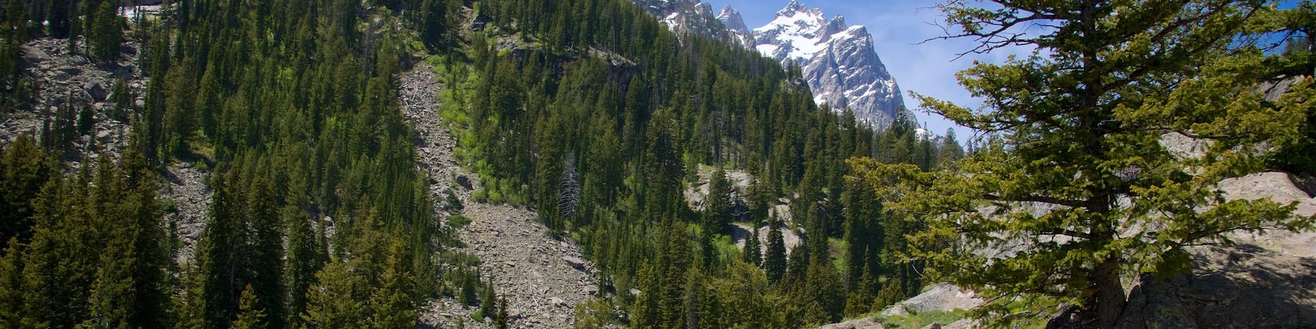 Jenny Lake featuring tranquil scenes, mountains and hiking or walking