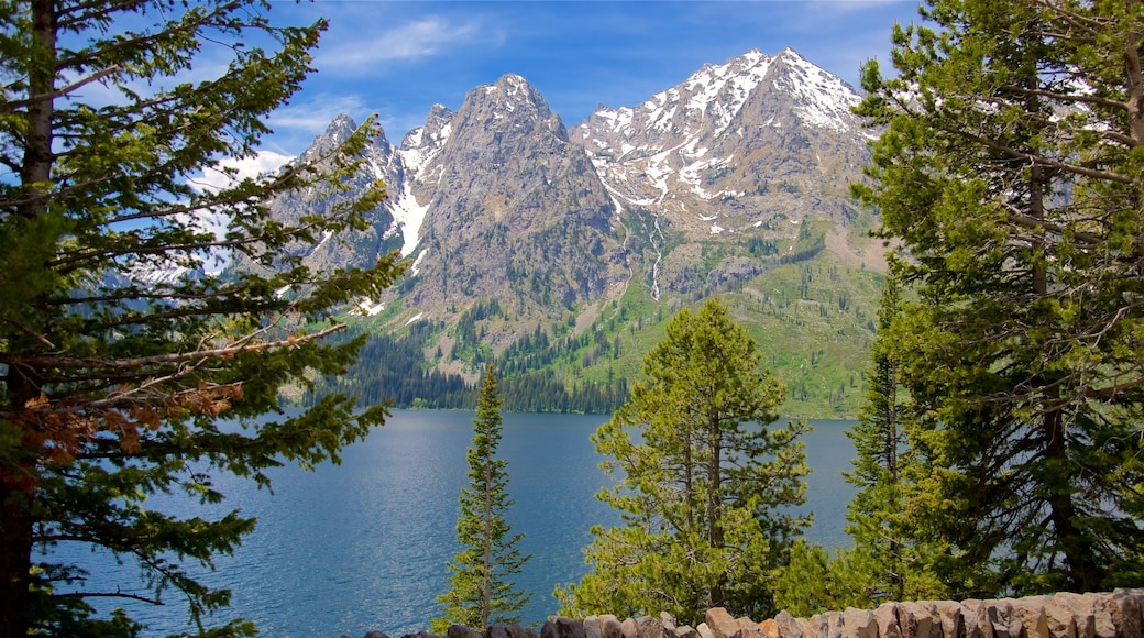 珍妮湖 设有 山 和 湖泊或水池