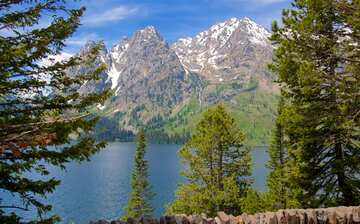 ジェニー湖 ムース旅行 エクスペディア ジェニー湖 ムース旅行 エクスペディア