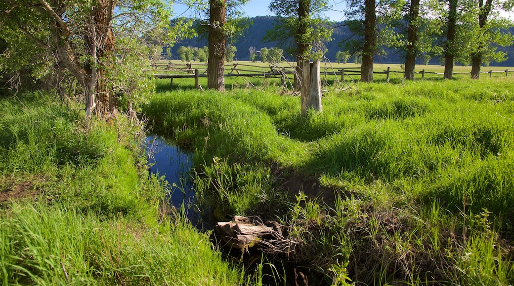 Mormon Row Historic District inclusief akkerland en een rivier of beek