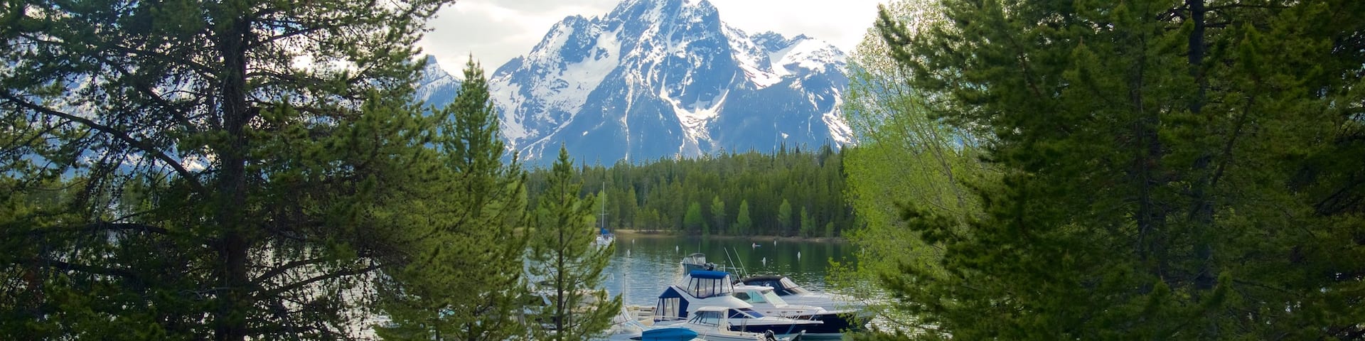 Puerto deportivo de Colter Bay mostrando un lago o abrevadero, montañas y una bahía o puerto
