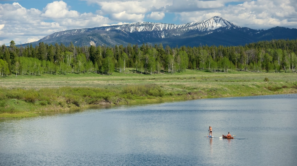 Oxbow Bend que inclui pântano, paisagem e um rio ou córrego