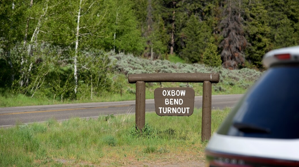 Oxbow Bend showing signage and tranquil scenes