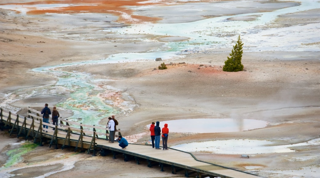 Norris Geyser Basin som viser en bro og en varm kilde såvel som en lille gruppe mennesker