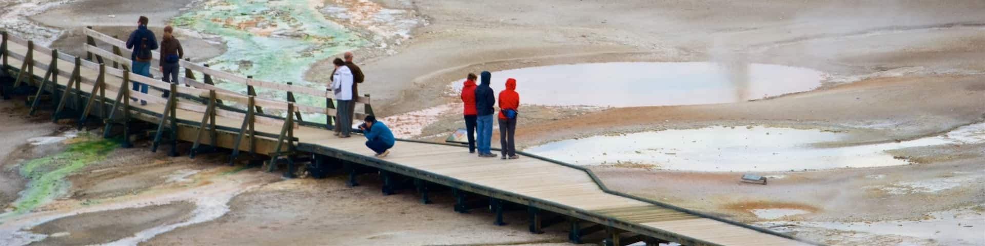 Norris Geyser Basin which includes a bridge and a hot spring as well as a small group of people