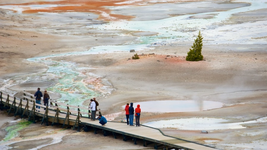 Norris Geyser Basin which includes a bridge and a hot spring as well as a small group of people