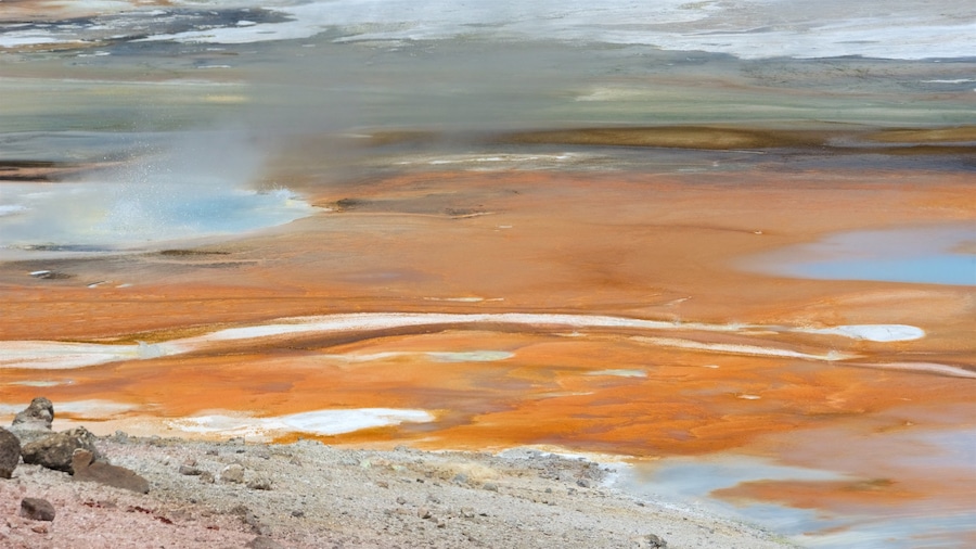 Norris Geyser Basin toont landschappen, mist of nevel en een warmwaterbron