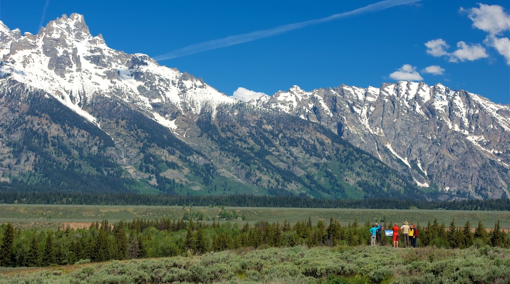 Parque Nacional Grand Teton mostrando situaciones tranquilas, montañas y vistas panorámicas