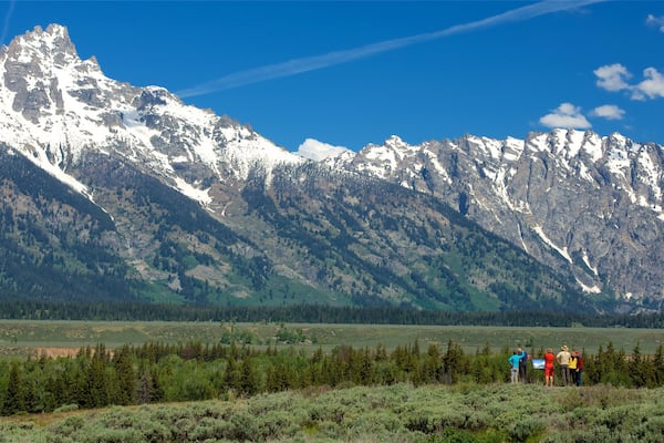 Parc National de Grand Teton montrant scènes tranquilles, montagnes et panoramas